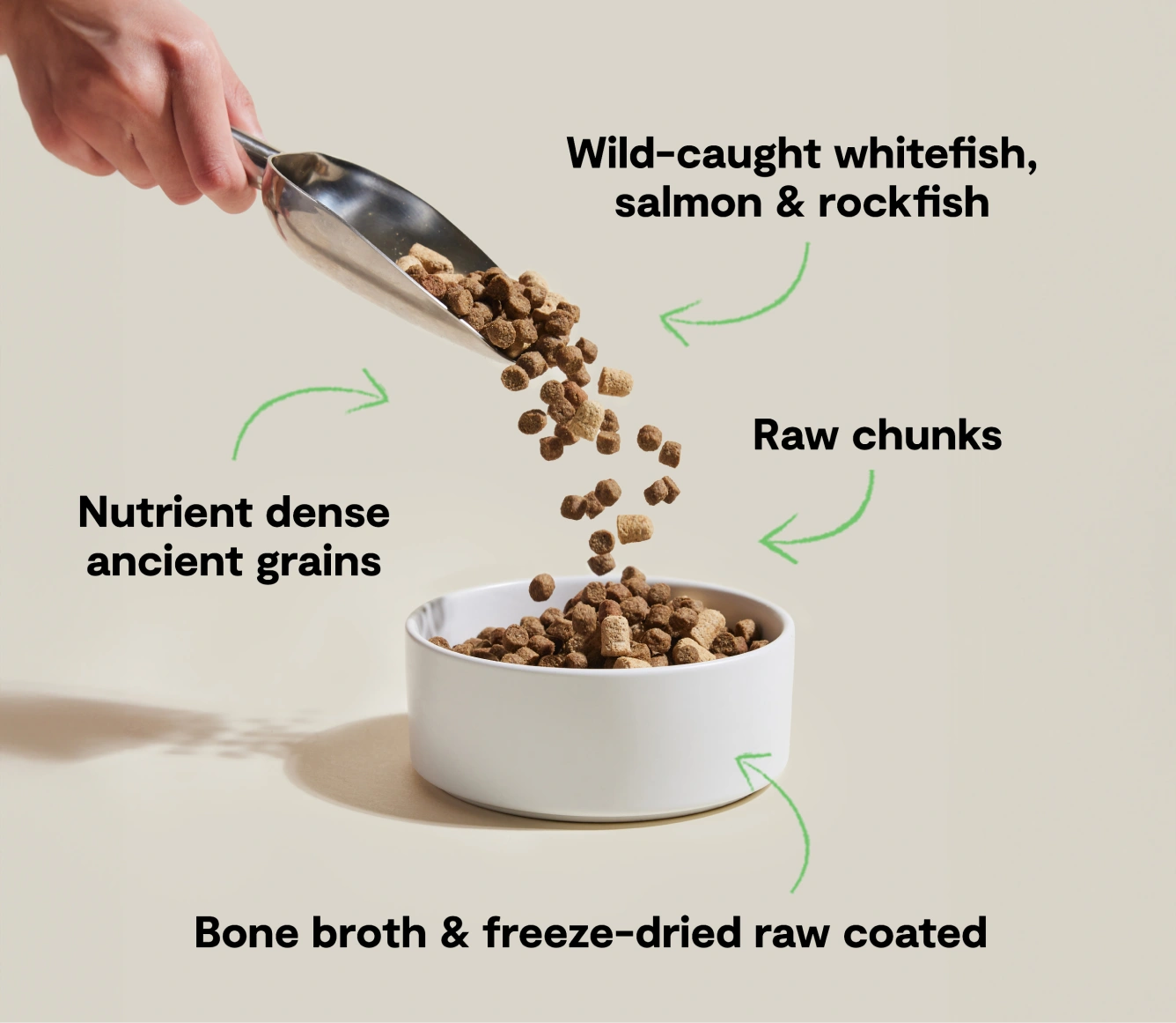 Unleash the Wild: RawMix Ocean Feast for Dogs - Ancient Grains Powerhouse